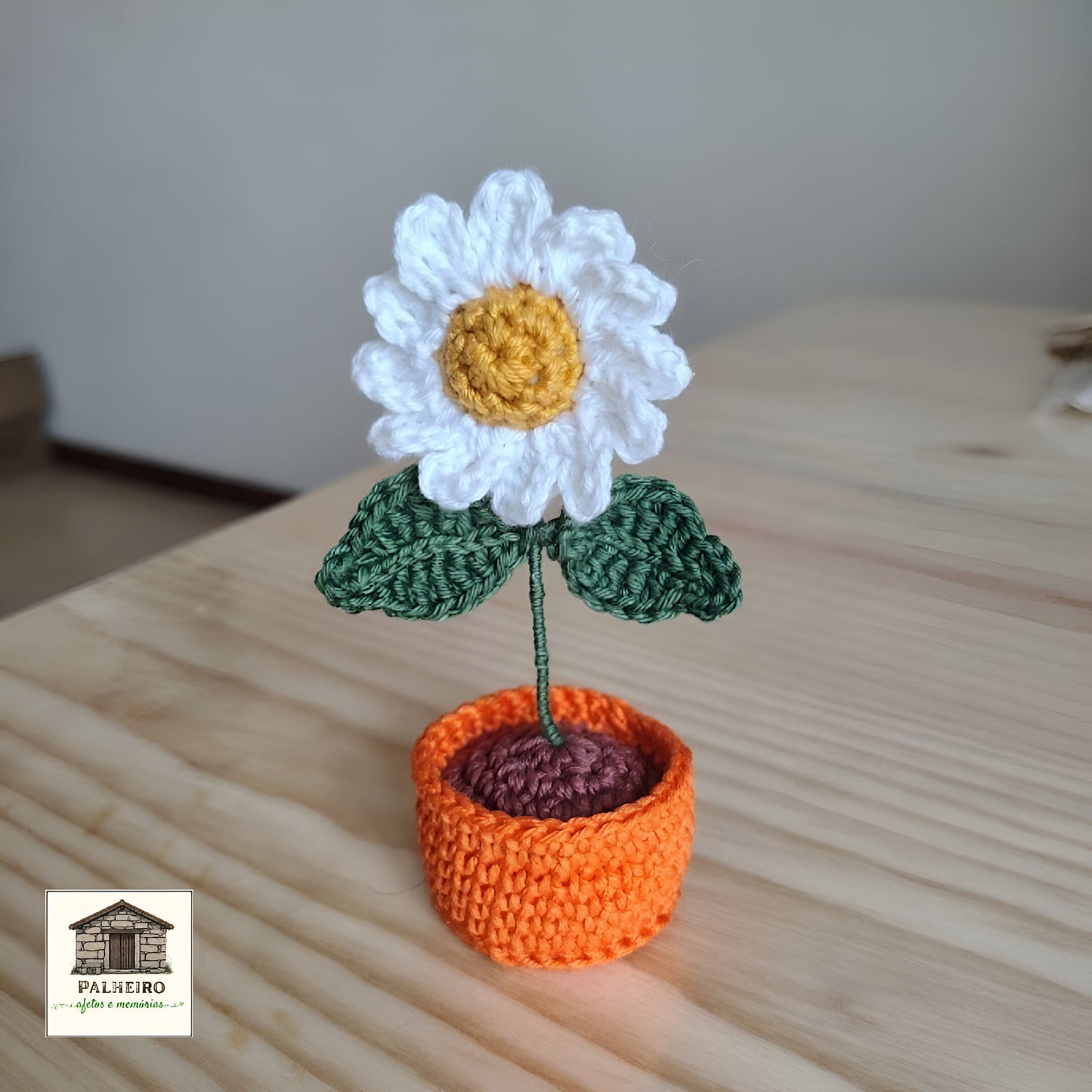 Margarida no Vasinho