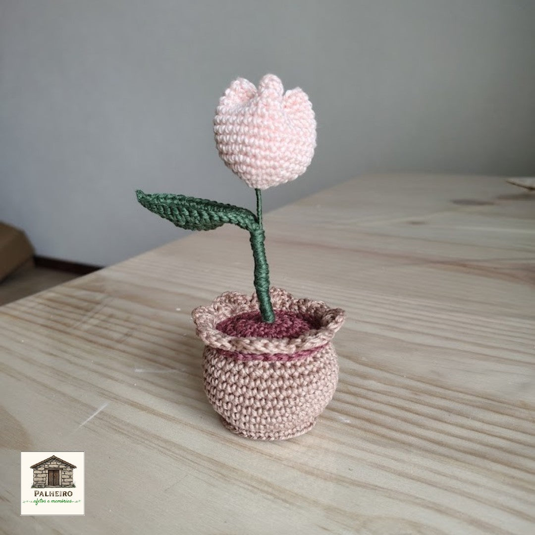 Tulipa no vasinho